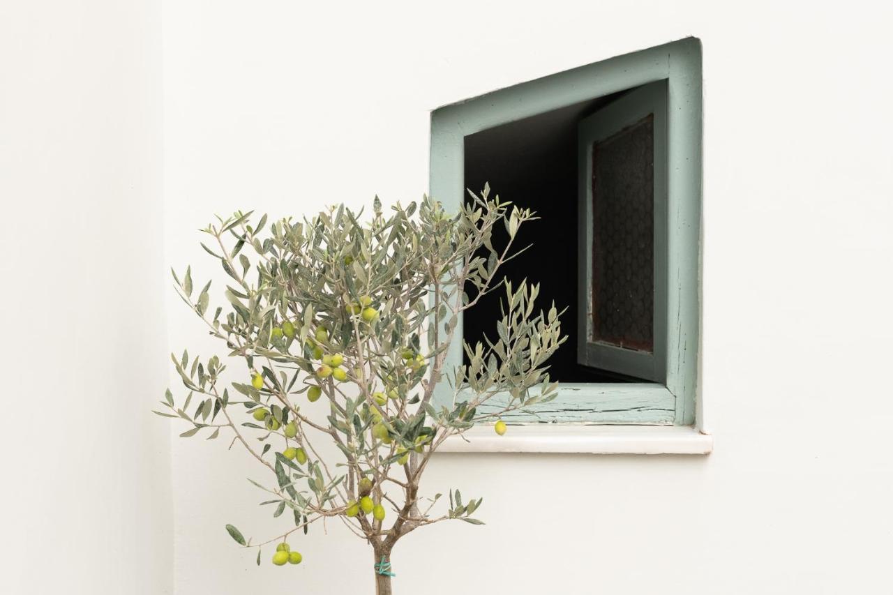 Central5 Boutique Apartments With Common Garden Next To Metro Athen Eksteriør billede